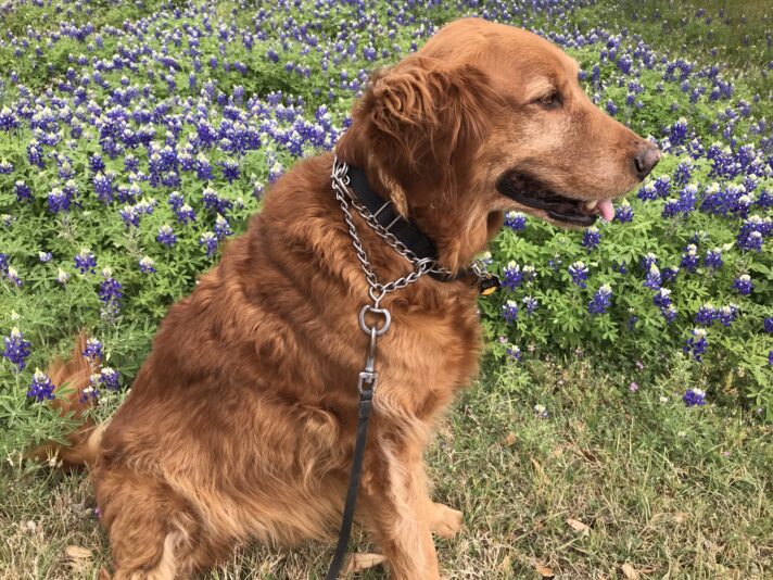 19B4283A-D334-4192-BC9C-2A5D1A6904B3