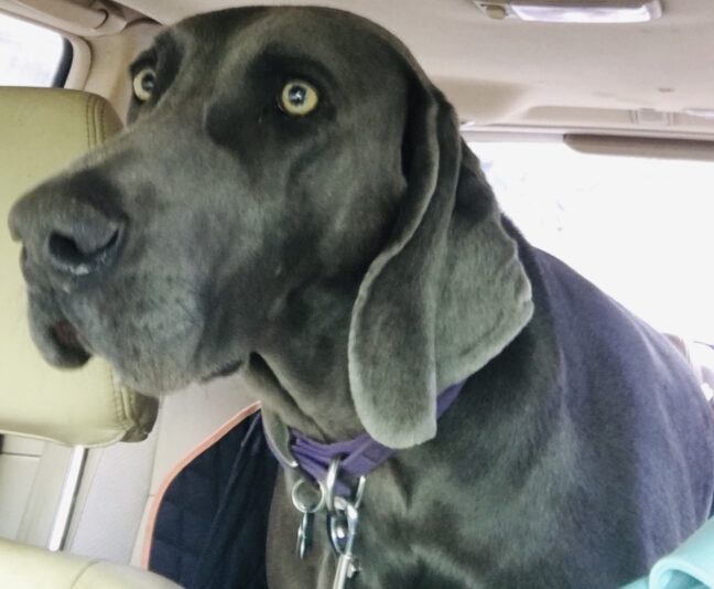 6ADECBFF-BC57-4CB4-93B1-8C128D78F493_1_105_c