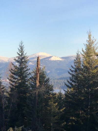 EAE43585-8501-4189-996E-1F6A74E74649