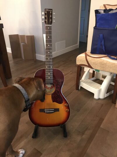 04E65482-01E3-488D-97CA-9B1C87588BA3