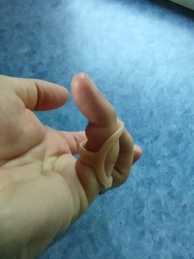 IMG_20210827_181303832