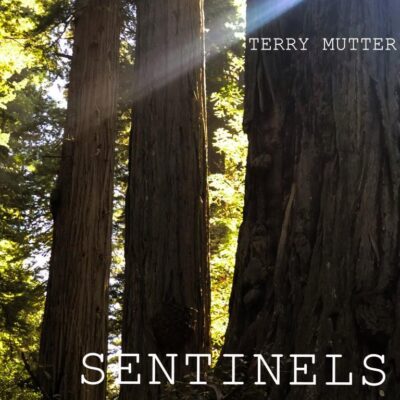 Sentinels_Post