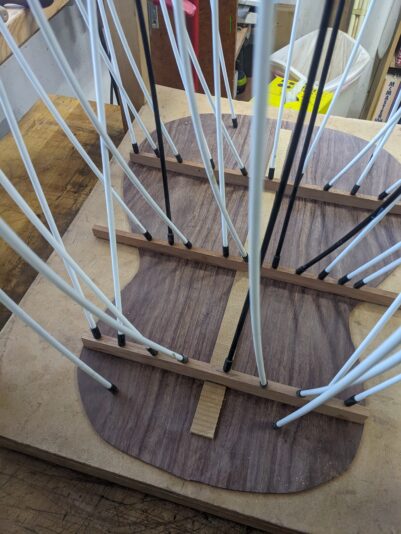 PXL_20230208_214816825.MP