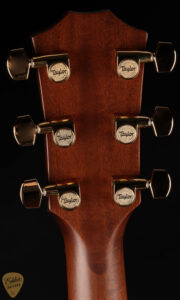 Taylor-8-1-scaled
