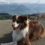 Profile photo of DonTheMyth