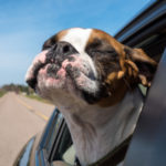 Profile photo of Yolande