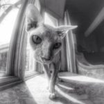 Profile photo of Christine N