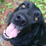 Profile photo of Virginia P