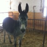 Profile photo of Clare S