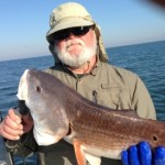 Profile photo of CjB