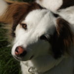 Profile photo of Jesse W