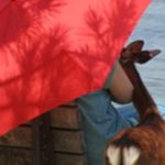 Profile photo of KathyCP99