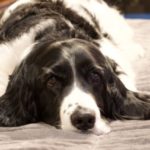 Profile photo of DocBob