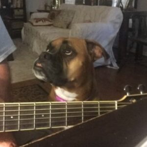 Profile photo of Shucks