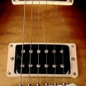 Profile photo of Bagsta69