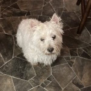 Profile photo of Paula-W