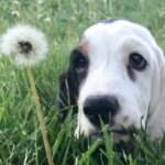 Profile photo of JanHo