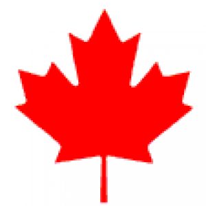 Profile photo of guitarrogue