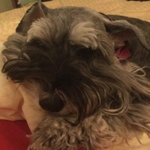 Profile photo of Danielle S