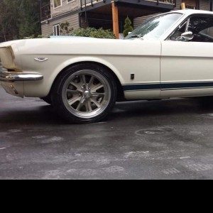 Profile photo of crarod