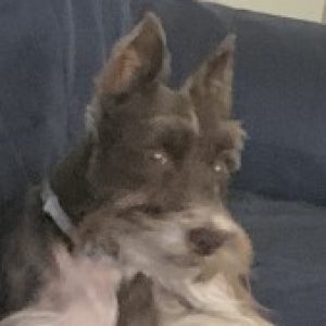 Profile photo of Spectre-16