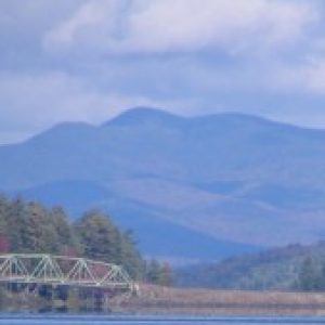 Profile photo of fingster