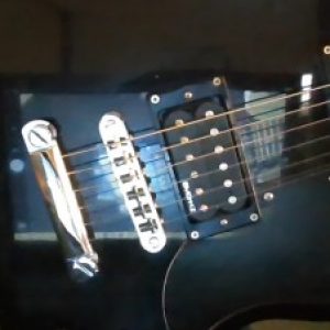 Profile photo of Snappers