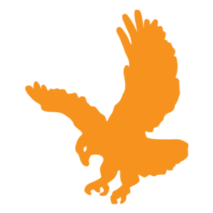 Profile photo of eaglejs