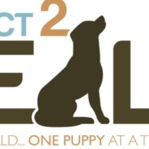 Profile photo of P2H