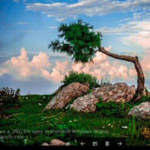 Profile photo of JOD