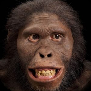 Profile photo of NW7