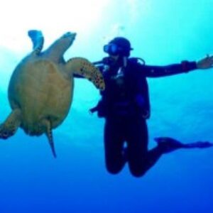 Profile photo of NSmith