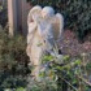 Profile photo of SuccessinProcess