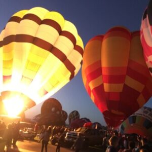 Profile photo of Butterfly