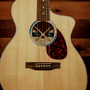 Profile photo of Pattibc