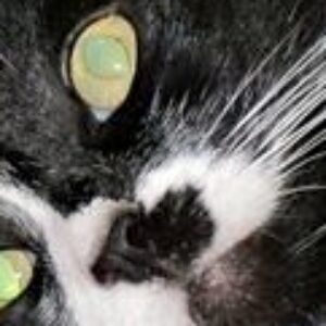 Profile photo of AnneN