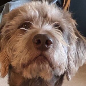 Profile photo of JIG