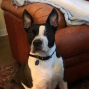 Profile photo of PaPaKilo