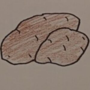 Profile photo of Evelyn99