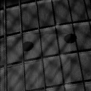 Profile photo of blackjack3