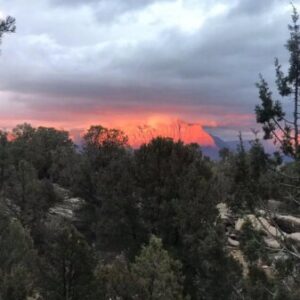 Profile photo of Paul_C