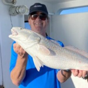 Profile photo of 01jcheathgmail-com