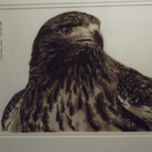 Profile photo of Sorita