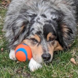 Profile photo of Gis