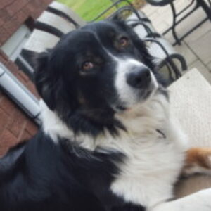 Profile photo of rancher6231gmail-com