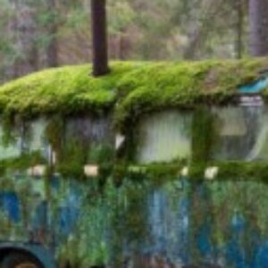 Profile photo of DavesVan