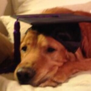 Profile photo of MC-Esq