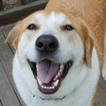 Profile photo of Michael Fair