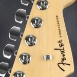 Profile photo of Dale