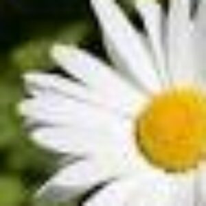 Profile photo of PaulaTX